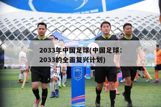2033年中国足球(中国足球：2033的全面复兴计划)